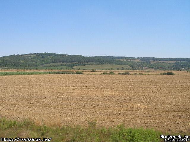 P7140261.JPG - Fot: cselik