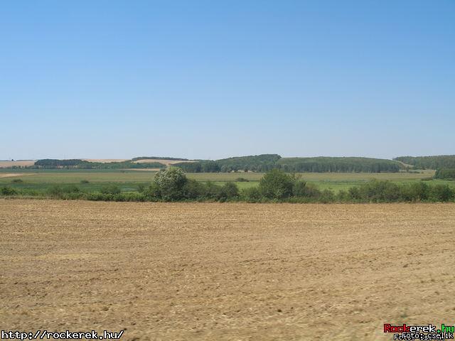 P7140264.JPG - Fot: cselik