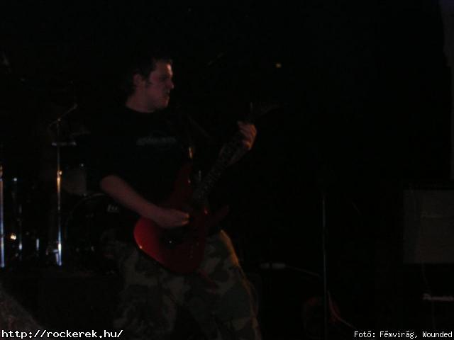  A Loosing Season, Bdi Rock Band, Decadence, Dethroned Humanity, Dysentery, Eternal Bleeding, Ideate Dream, Massgrave Symphonies, Massgraves Symphonies, Mytra, Nadir, Remorse, Scandic Pop, Sollen, Subscribe, Vale Of Tears, Wagon - Fot: Fmvirg, Wounded