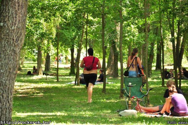  Rme Vrzik,  Watch My Dying,  Kalapcs,  Rudn Joe,  HtkznaPI CSAldsok, Nevergreen,  Moby Dick,  Bloody Roots - Fot: manna