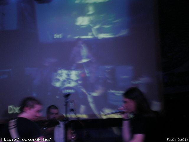 PB230106.JPG - Fot: Cselik