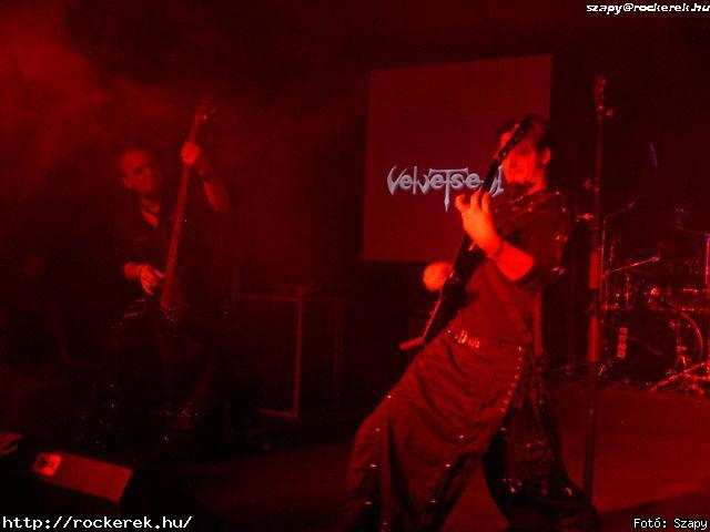  Dharma, Gyngyvr, Velvet Seal, Velvetseal, Wet Lips - Fot: Szapy