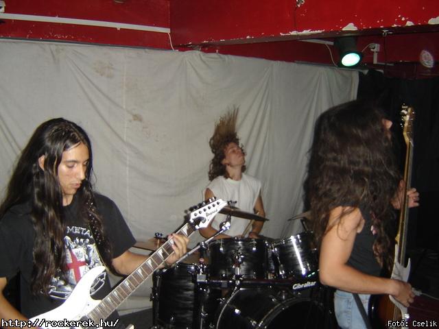 P8010094.JPG - Fot: Cselik