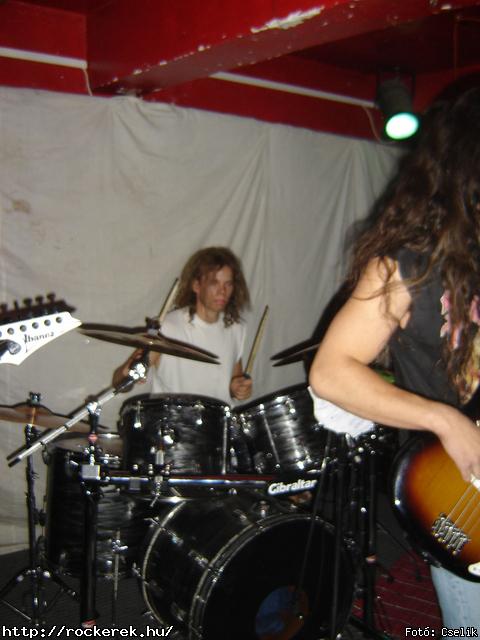 P8010118.JPG - Fot: Cselik