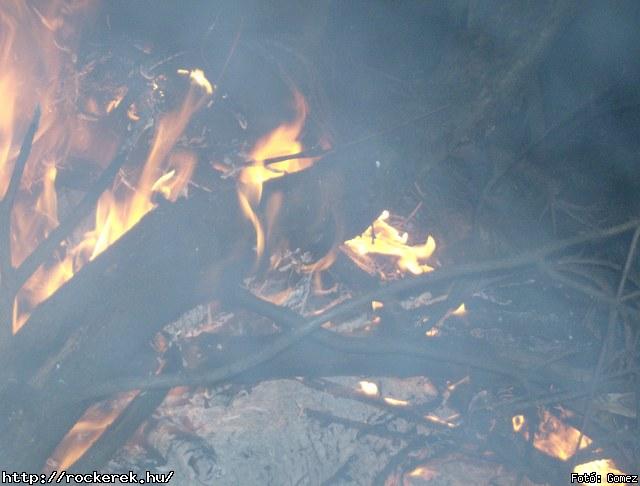 P3150183.JPG - Fot: Gomez