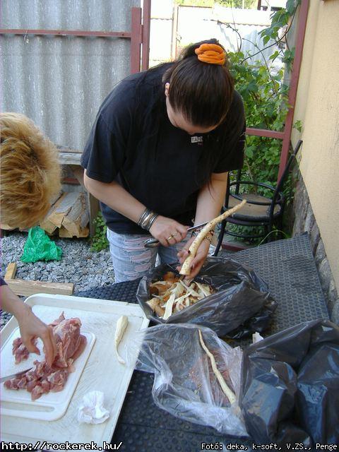  Kerecsen,  Viharcsillag,  Diablura,  Judas Beast - Fot: deka, k-soft, V.ZS., Penge