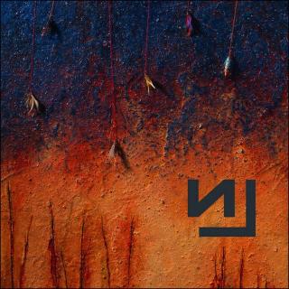 NIN
