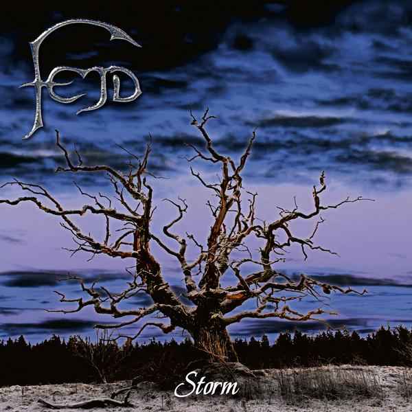 fejdstorm.1262081908.jpg