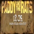 Paddy and the Rats 6. szletsnap