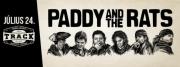  PADDY AND THE RATS