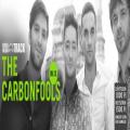 The Carbonfools