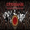 Whitesnake 