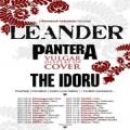 Leander | The Idoru | Vulgar Display of Cover