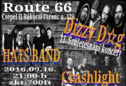 Dizzy Dog - Hatsband - Crashlight Koncert!