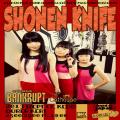 Shonen Knife, Bankrupt, The Cathouse