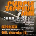 Purple Zeppelin Jam