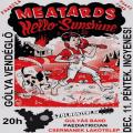 The Meatards (FRA), Hello Sunshine (FRA), Csermanek Lakótelep, Paediatrician, Gulyás Band