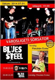 BluesSteel s Ham&X a Vrosligeti Srstorban