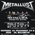 Metallust (Metallicta tribute band)