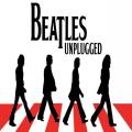 Beatles Unplugged a The Bits-szel @ Muzikum