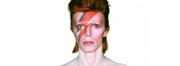 The Starmans - David Bowie Show