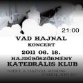 Vad Hajnal koncert