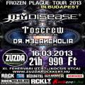 Frozen Plague Tour 2013