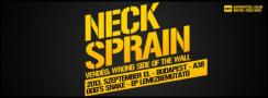 Neck Sprain - God’s Snake