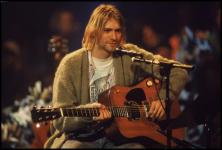 Vilk egy szl gitrral - Kurt Cobain emlkest