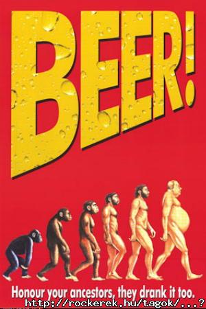beer