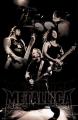 Metallica-Live.in.Budapest.PAL.DVDR-NoGrp