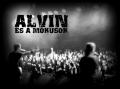 Alvin s a Mkusokkk