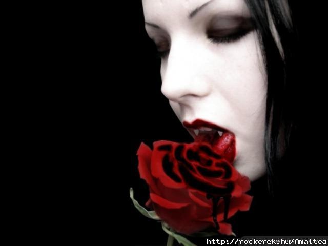 red-rose-dark-gothic-wallpapers-1024x768