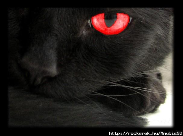 The_Black_Cat%20red