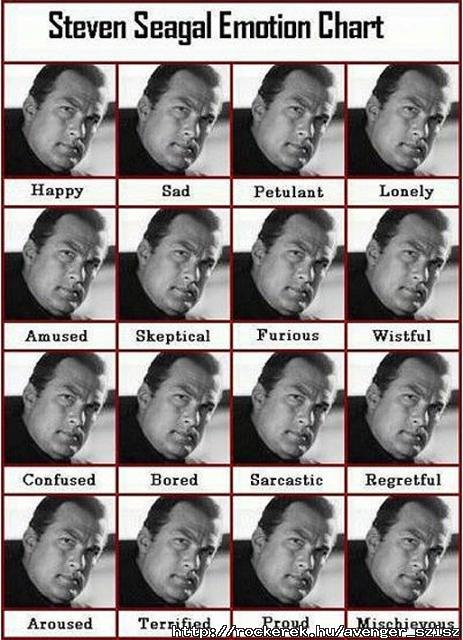 Steven Seagal XD