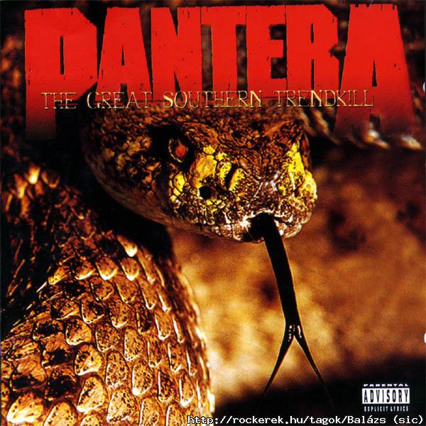 pantera1