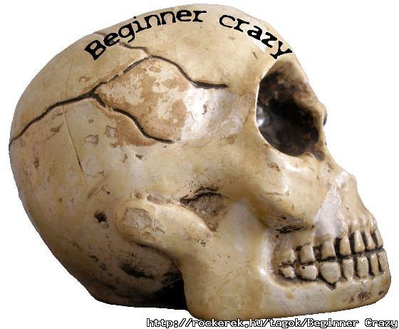 Beginner Crazy