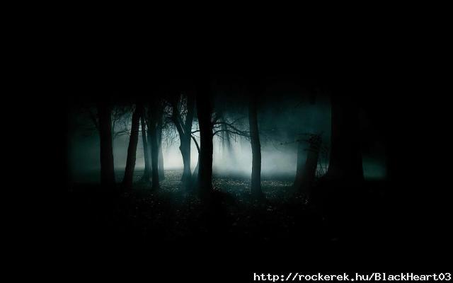 dark-forest-10914