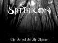 Satyricon_Wallpaper_by_Pestwind
