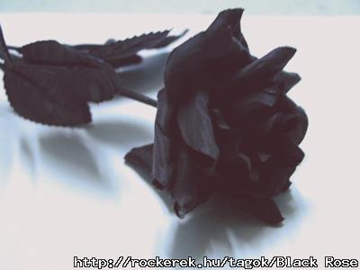 blackrose