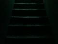 Steps in dark