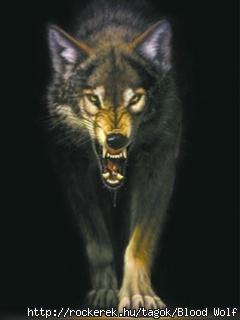 Wild-Wolf