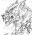 werewolf_sketch2
