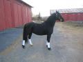 This is my horse :D