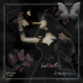 butterfly55