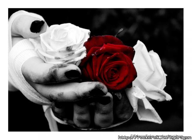 Bleeding_Roses_by_LoveTheVoid