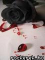Beautiful-Bloody-Roses-roses-1239875_90_120