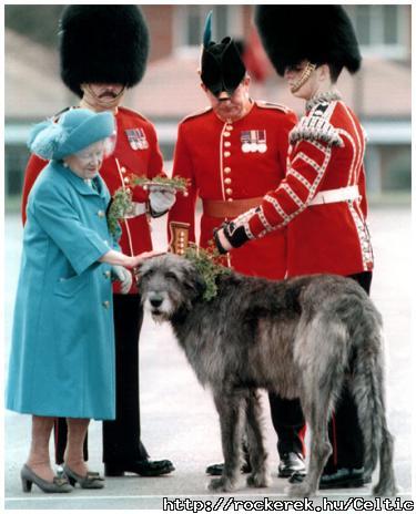The dog, the redcoats and the Queen.