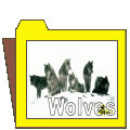 Wolf`s Moon---Farkasok holdja (8)