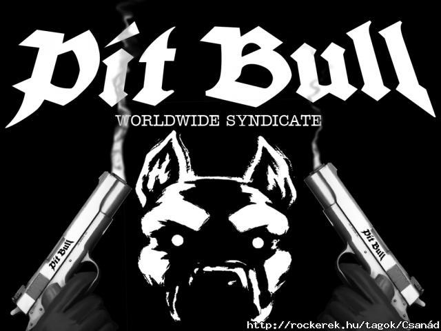 Pit_bull_